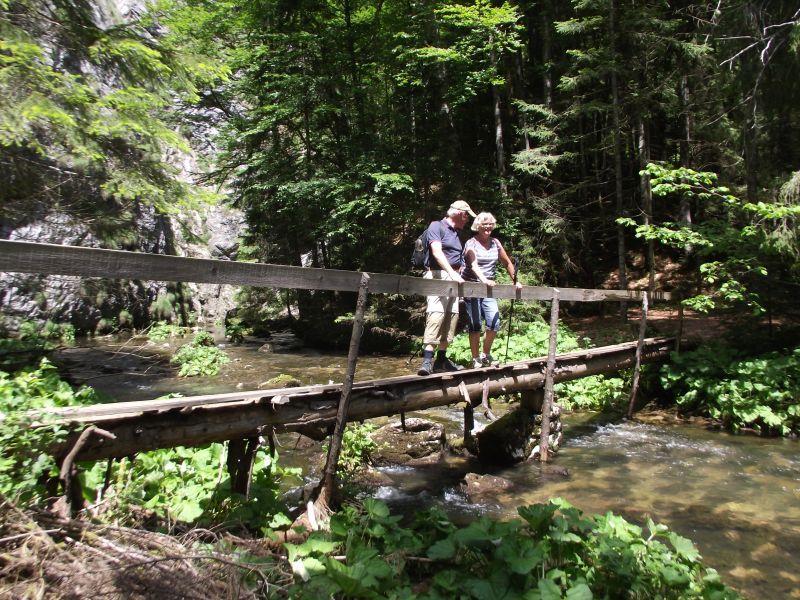 Explore the ”Mountains at the Sunset” - Apuseni Mountains - 8 days - Casa de Piatra hamlet - bridge over creek at Tauz karstic spring
