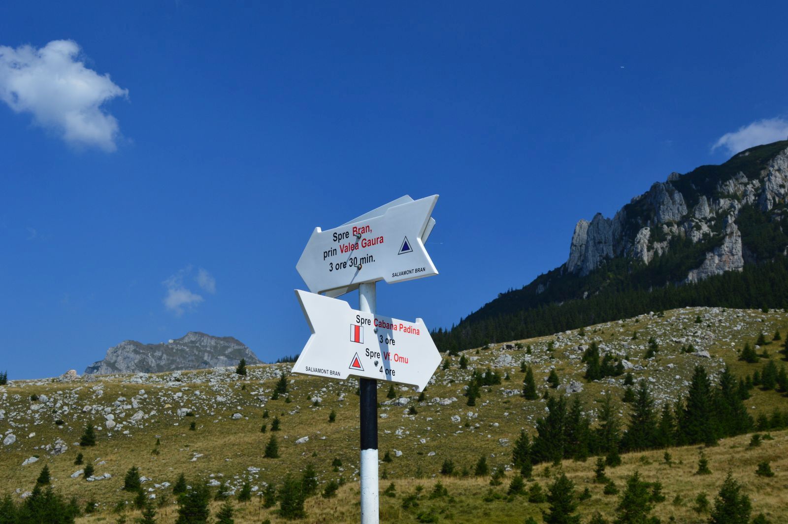 Explore Romania's Majestic Ranges: Bucegi & Piatra Craiului Trekking Tour in 6 days - Bucegi Natural Park