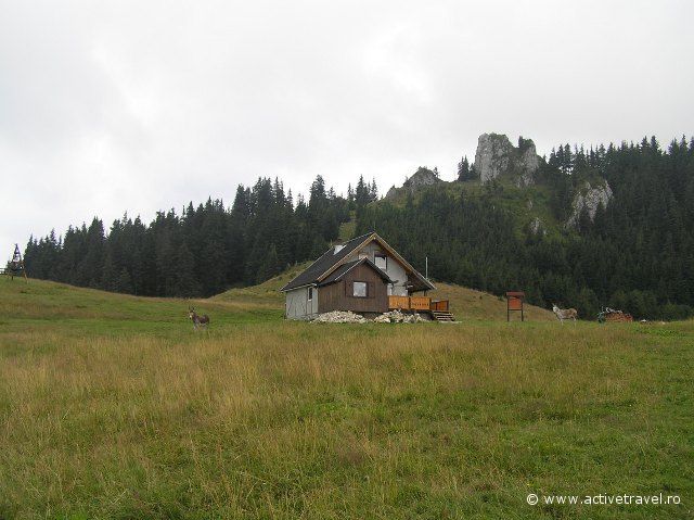 Active trekking tour in Piatra Mare Massif - 1 day - Piatra Mare hut