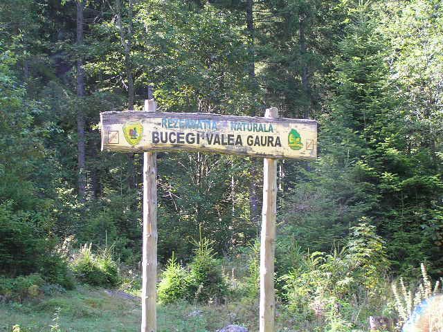Bucegi Mountains - Gaura Valley