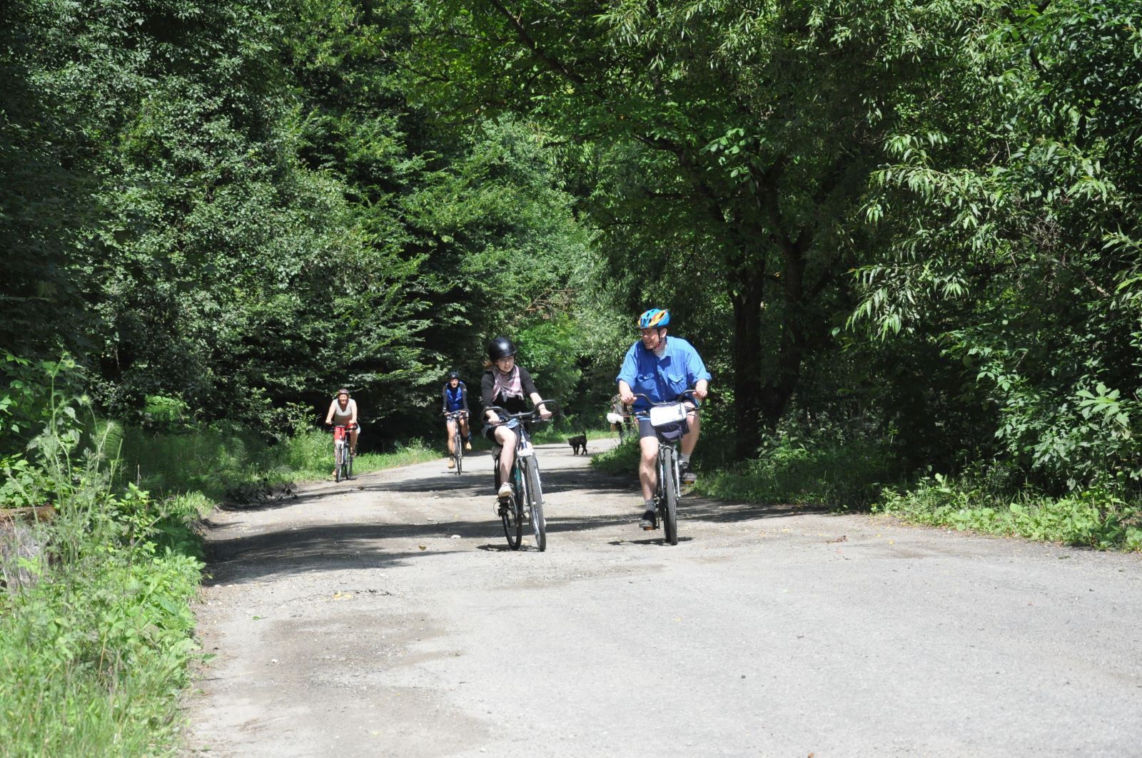 Maramures and Transylvania heritage cycling tour - 9 days - Maramures and Transylvania heritage cycling tour