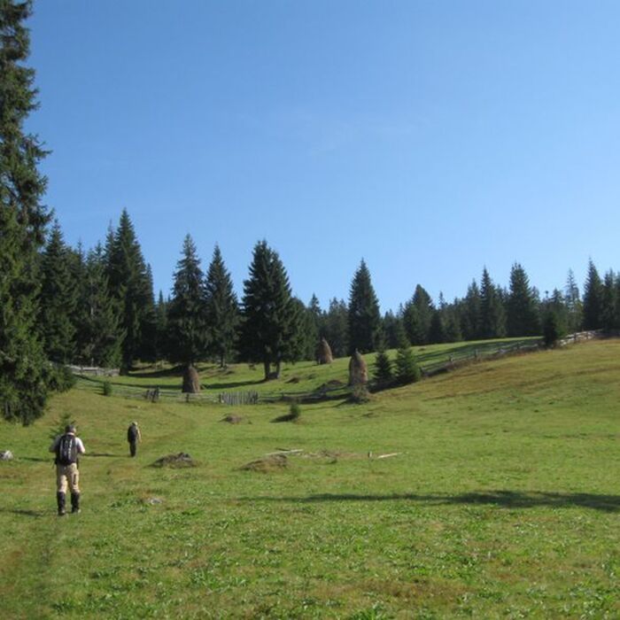 Explore the ”Mountains at the Sunset” - Apuseni Mountains - 8 days - Casa de Piatra hamlet - hiking
