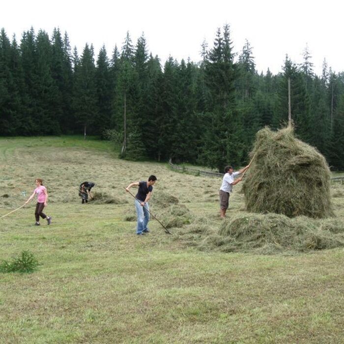 Explore the ”Mountains at the Sunset” - Apuseni Mountains - 8 days - Ghetar hamlet - doing the hay stacks