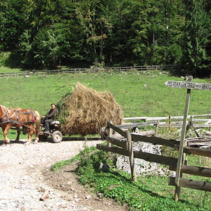 Explore the ”Mountains at the Sunset” - Apuseni Mountains - 8 days - In Ghetar hamlet