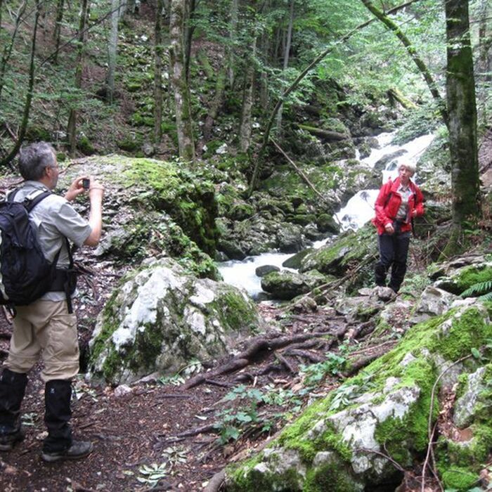 Explore the ”Mountains at the Sunset” - Apuseni Mountains - 8 days - Padis - along Galbena Gorge