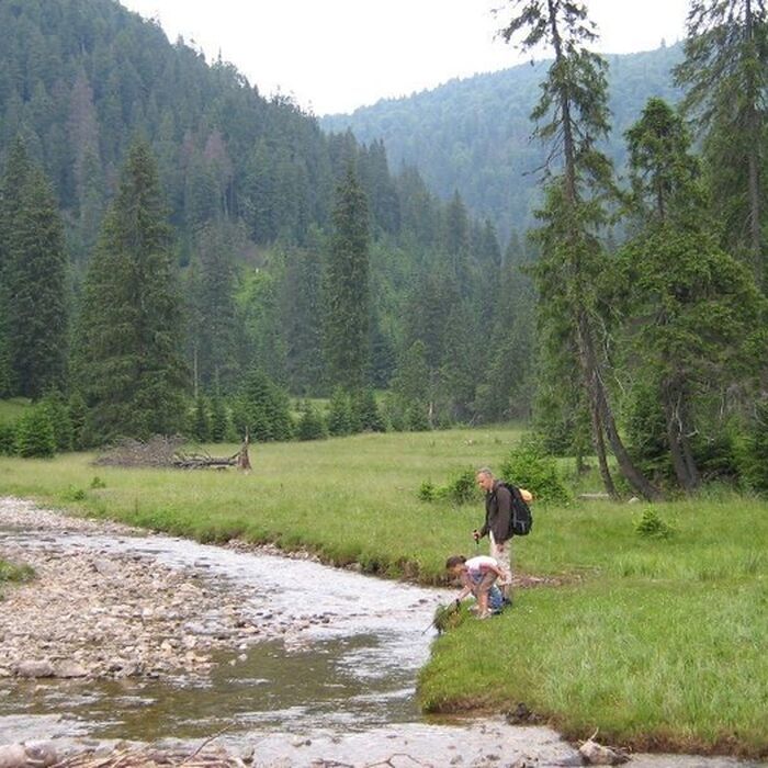 Explore the ”Mountains at the Sunset” - Apuseni Mountains - 8 days - Padis - Ponorului Glade