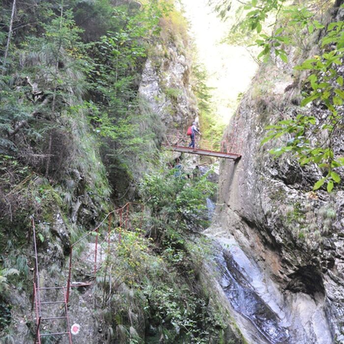 2-Day Private Tour – Transfagarasan Highway and Hiking in Fagaras Mountains - Trekking on Stan's Gorge