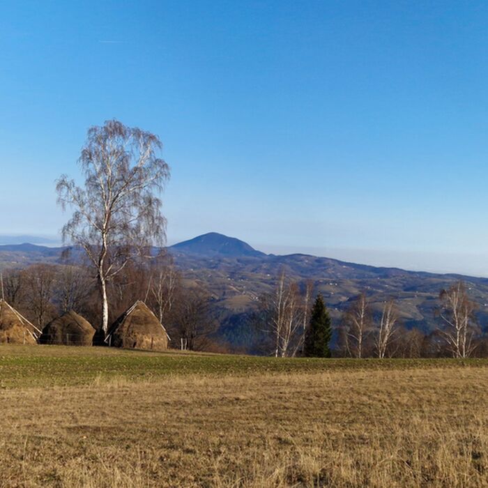 3-Day Authentic Via Transilvanica Experience in Terra Borza Teutonica - Poiana Marului village