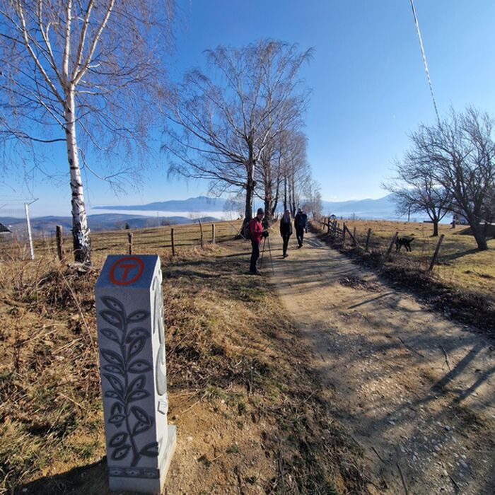 3-Day Authentic Via Transilvanica Experience in Terra Borza Teutonica - Walk on Via Transilvanica