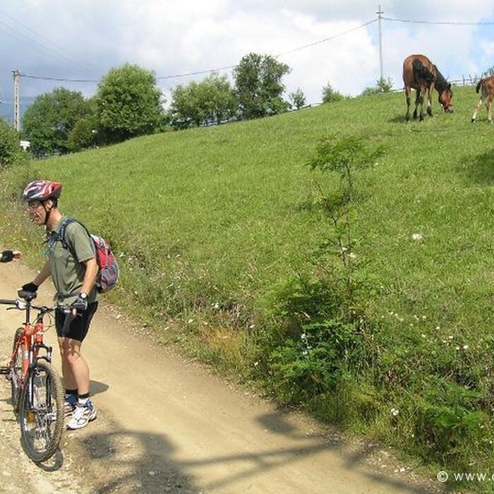 Active mountainbike tour in National Park Piatra Craiului - 1 day - Horses