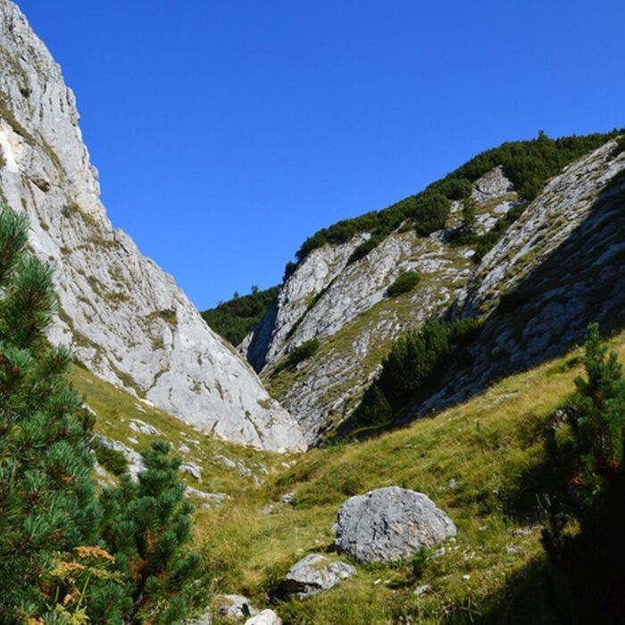 Explore Romania's Majestic Ranges: Bucegi & Piatra Craiului Trekking Tour in 6 days - Bucegi Natural Park