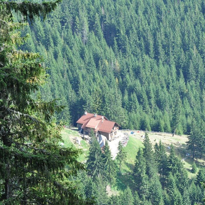 Explore Romania's Majestic Ranges: Bucegi & Piatra Craiului Trekking Tour in 6 days - Piatra Craiului National Park