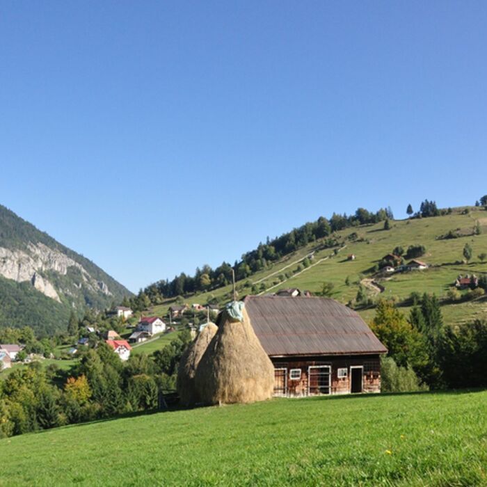 Explore Romania's Majestic Ranges: Bucegi & Piatra Craiului Trekking Tour in 6 days - Piatra Craiului National Park