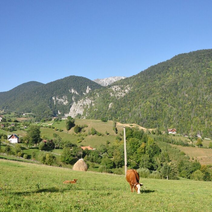 Explore Romania's Majestic Ranges: Bucegi & Piatra Craiului Trekking Tour in 6 days - Piatra Craiului National Park