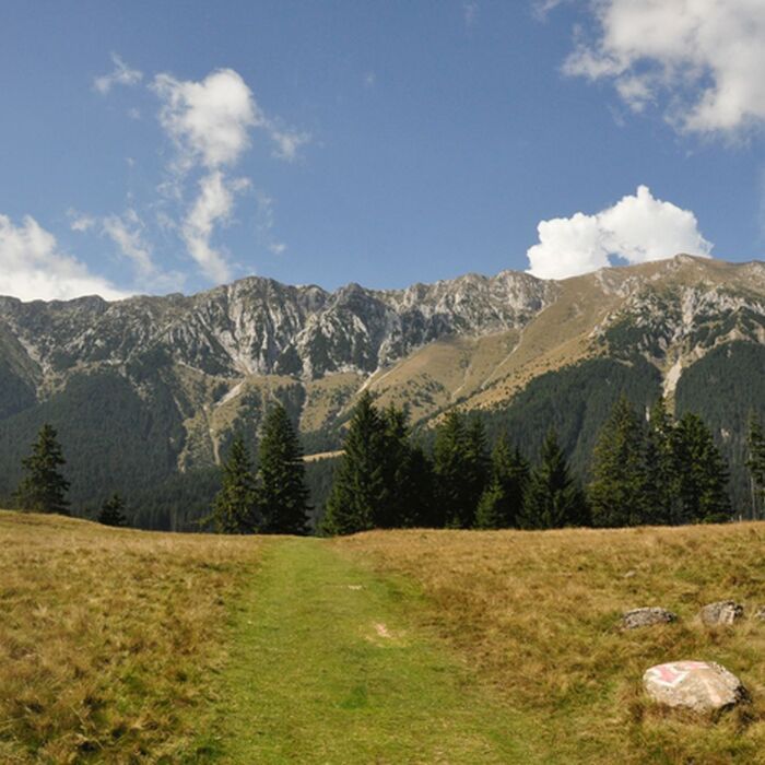 Explore Romania's Majestic Ranges: Bucegi & Piatra Craiului Trekking Tour in 6 days - Piatra Craiului National Park
