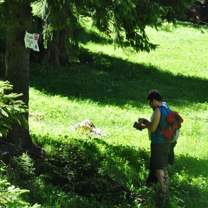 Active trekking tour in Bucegi Natural Park and Piatra Craiului National Park - 3 days - Bucegi Natural Park