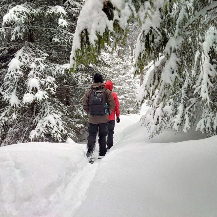 Active trekking tour in Piatra Mare Massif - 1 day - Piatra Mare Mountain