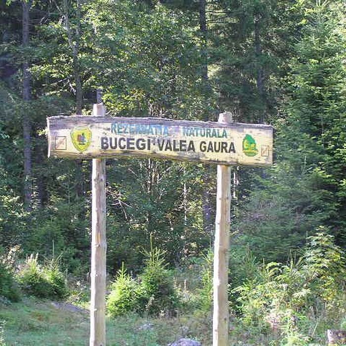 Bucegi Mountains - Gaura Valley
