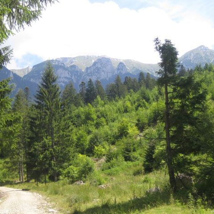 Bucegi Mountains - Gaura Valley