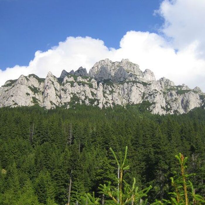Bucegi Mountains - Gaura Valley