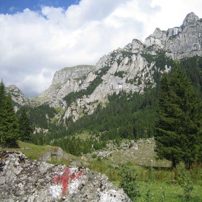 Bucegi Mountains - Gaura Valley