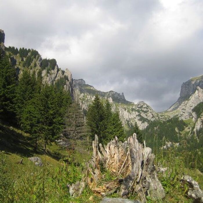 Bucegi Mountains - Gaura Valley