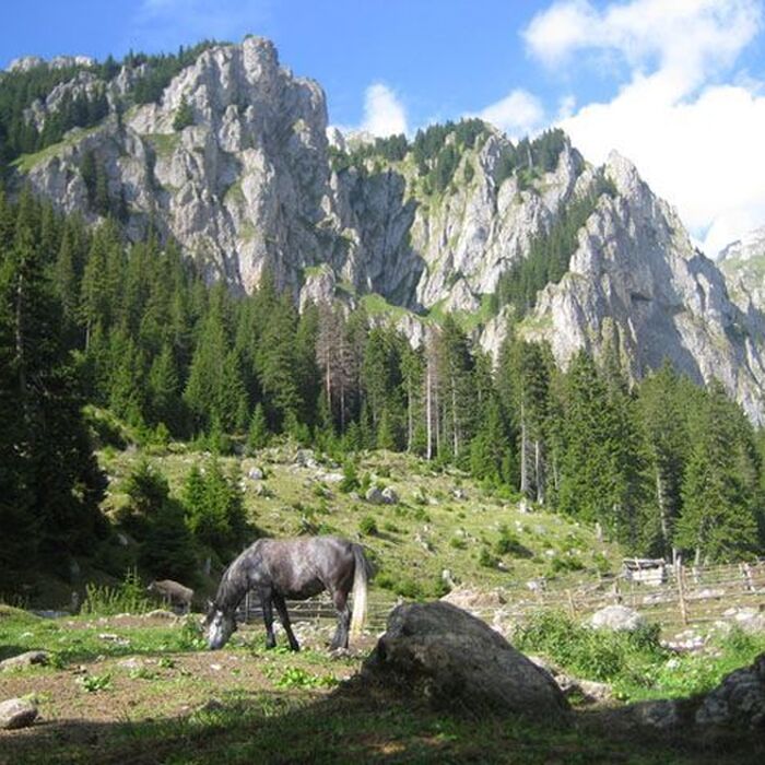 Bucegi Mountains - Gaura Valley