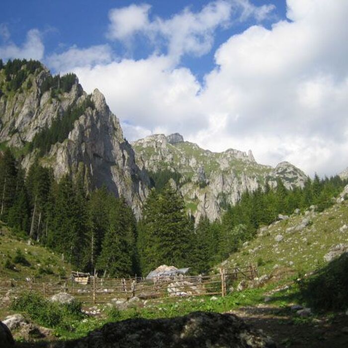 Bucegi Mountains - Gaura Valley
