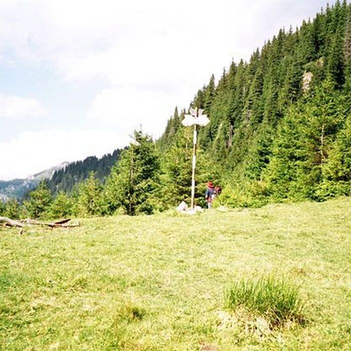 Bucegi Mountains - Gaura Valley