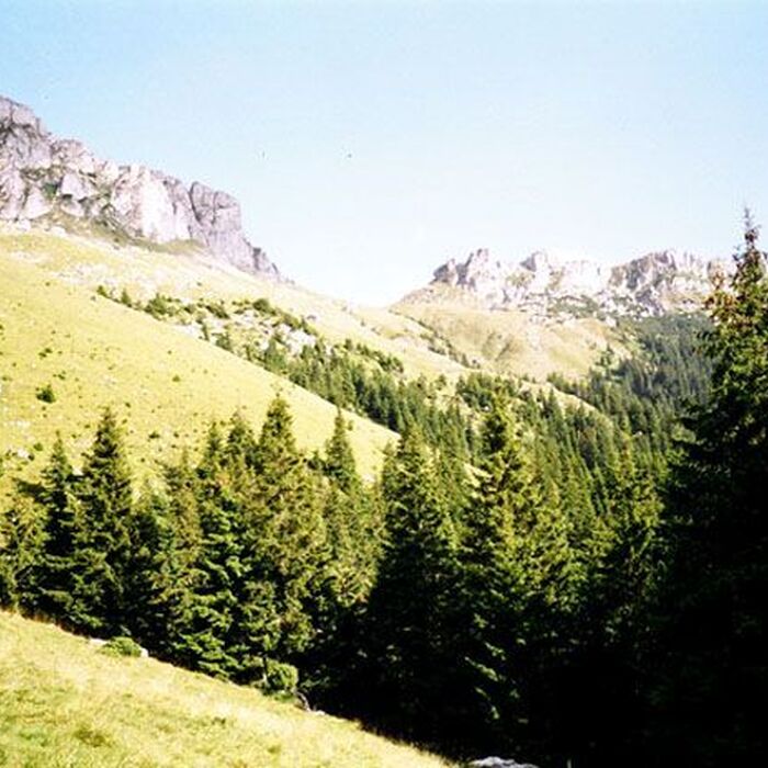Bucegi Mountains - Gaura Valley