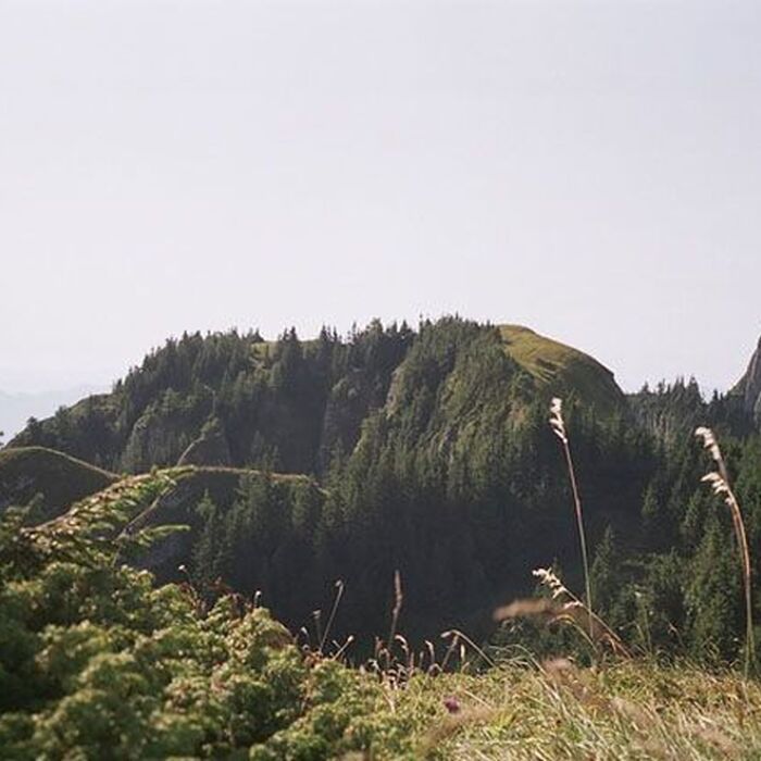 Ceahlau Mountains