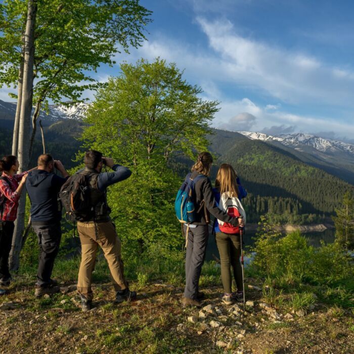 Complete Wildlife Experience - Wildlife watching experiene Romania