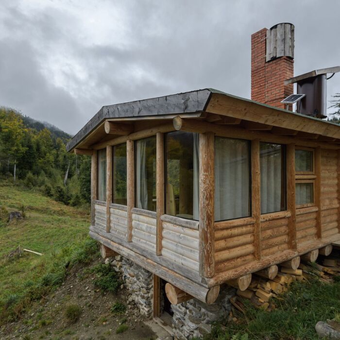 Complete Wildlife Experience - Bunea Wilderness Cabin