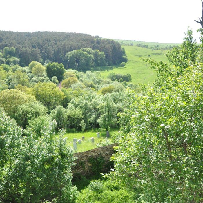 Small-Group Day tour Medieval Sighisoara, Viscri, Rupea Fortress - Viscri village