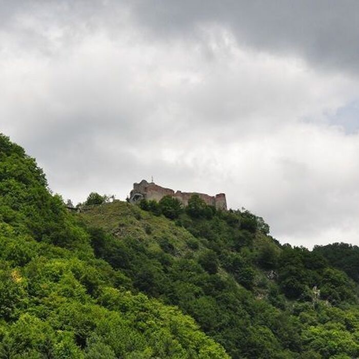 Small-Group Day tour Transfagarasan road and Poienari Fortress - Poienari Fortress - general view