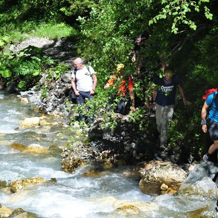 Explore the magnificent Carpathian mountains range - 2 mountains in 4 days 