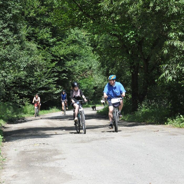Maramures and Transylvania heritage cycling tour - 9 days - Maramures and Transylvania heritage cycling tour