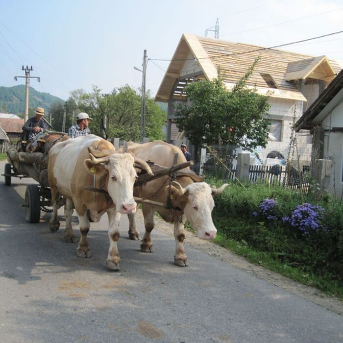 Maramures and Transylvania heritage cycling tour - 9 days - Maramures and Transylvania heritage cycling tour