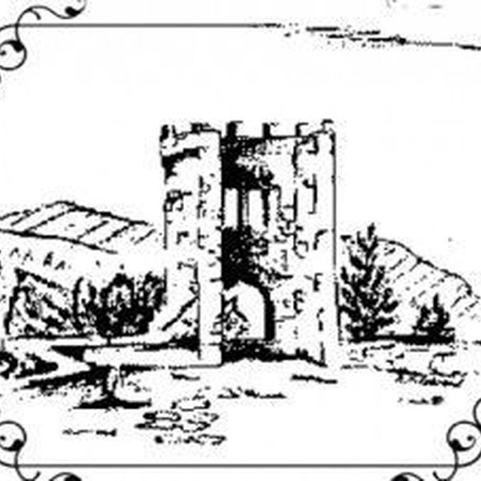 Tara Barsei’s Capital