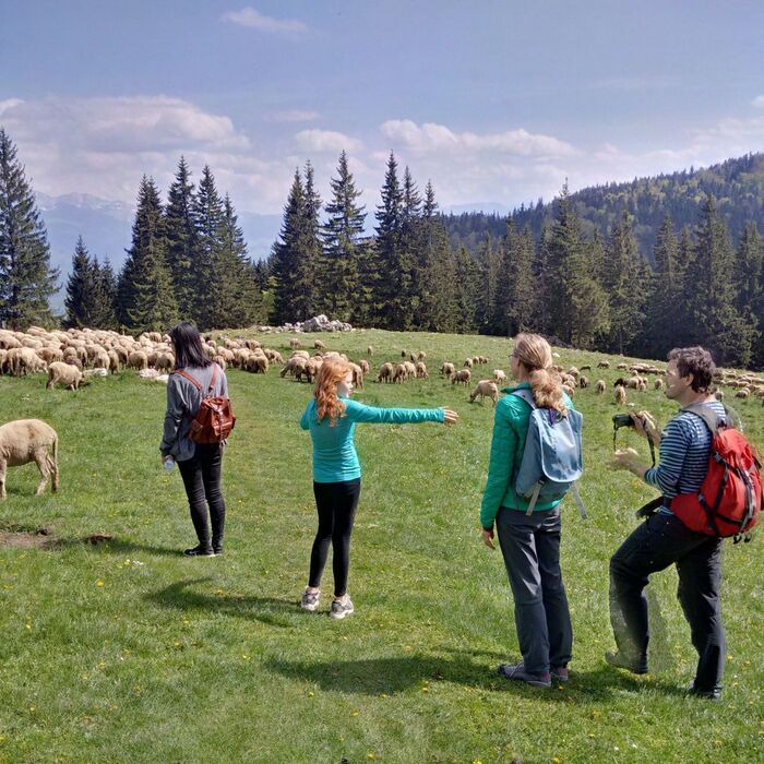 Piatra Craiului National Park photo hunting tour - 1 day - Piatra Craiului National Park