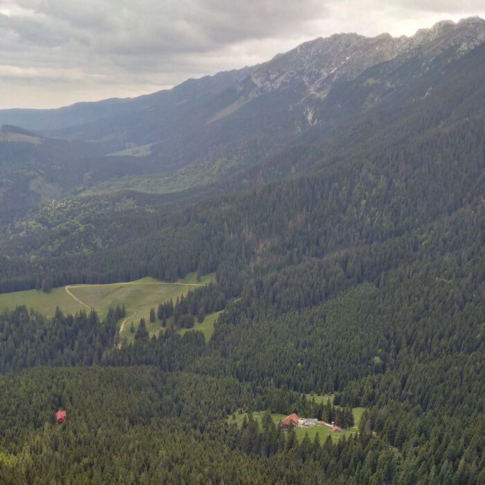 Piatra Craiului National Park photo hunting tour - 1 day - Piatra Craiului National Park