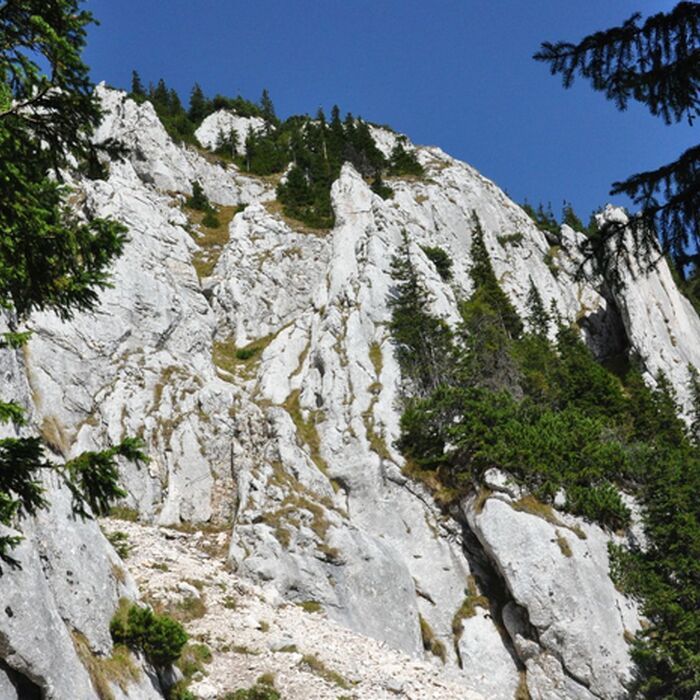 Piatra Craiului National Park photo hunting tour - 1 day - Piatra Craiului National Park