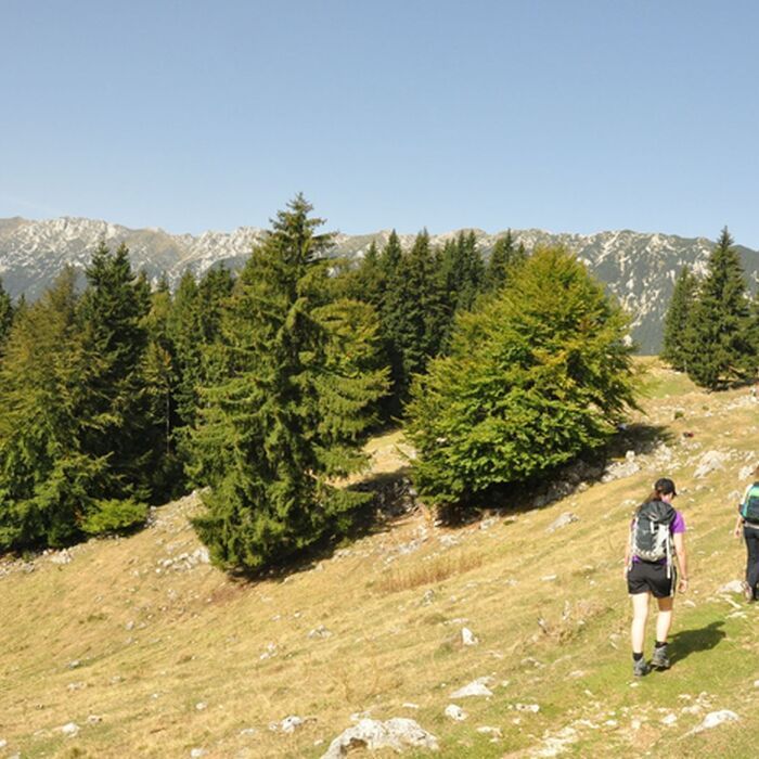 Piatra Craiului National Park photo hunting tour - 1 day - Piatra Craiului National Park