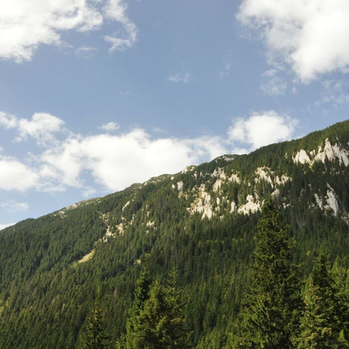 Piatra Craiului National Park photo hunting tour - 1 day - Piatra Craiului National Park