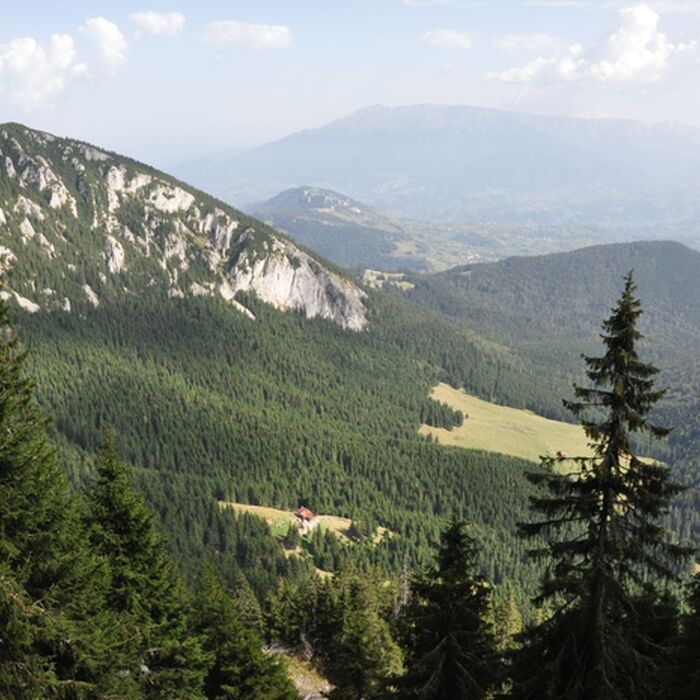Piatra Craiului National Park photo hunting tour - 1 day - Piatra Craiului National Park
