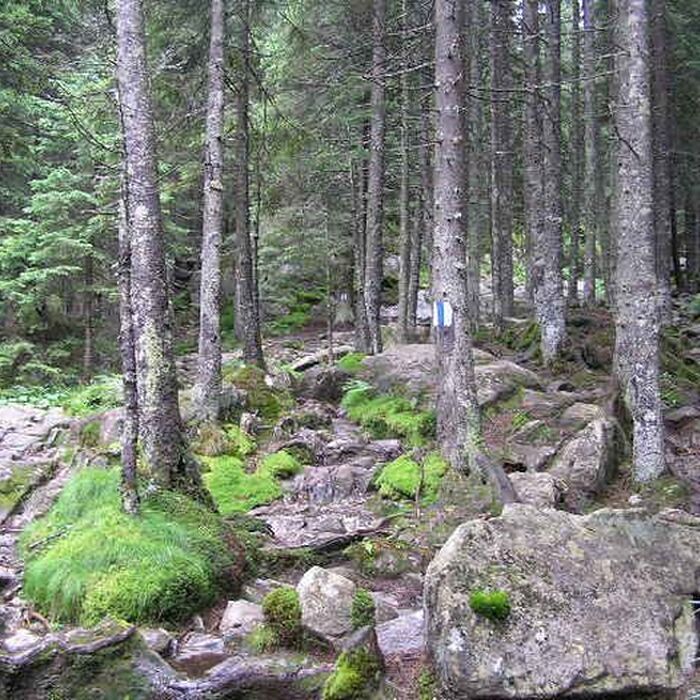 Retezat Mountains