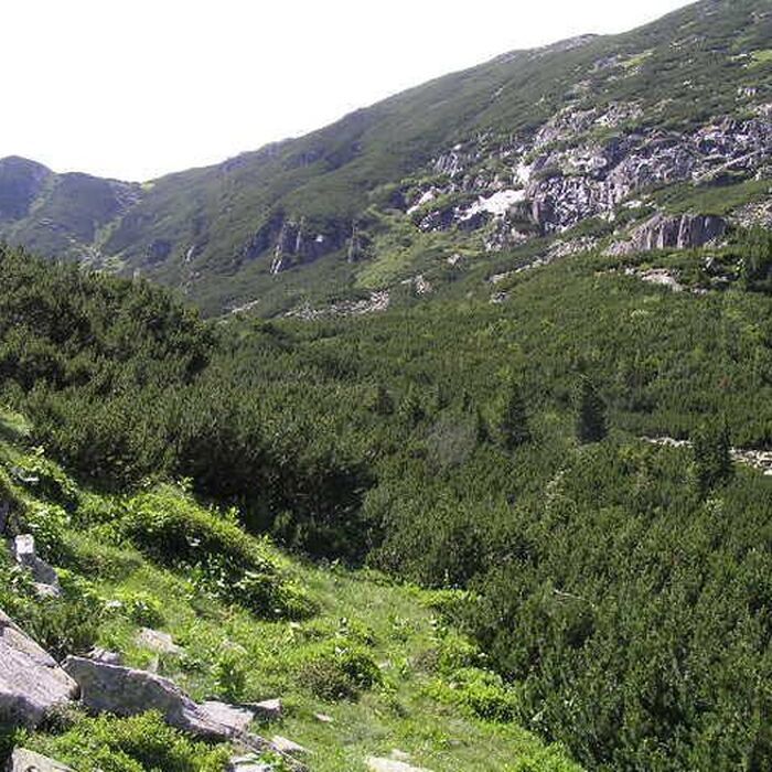 Retezat Mountains