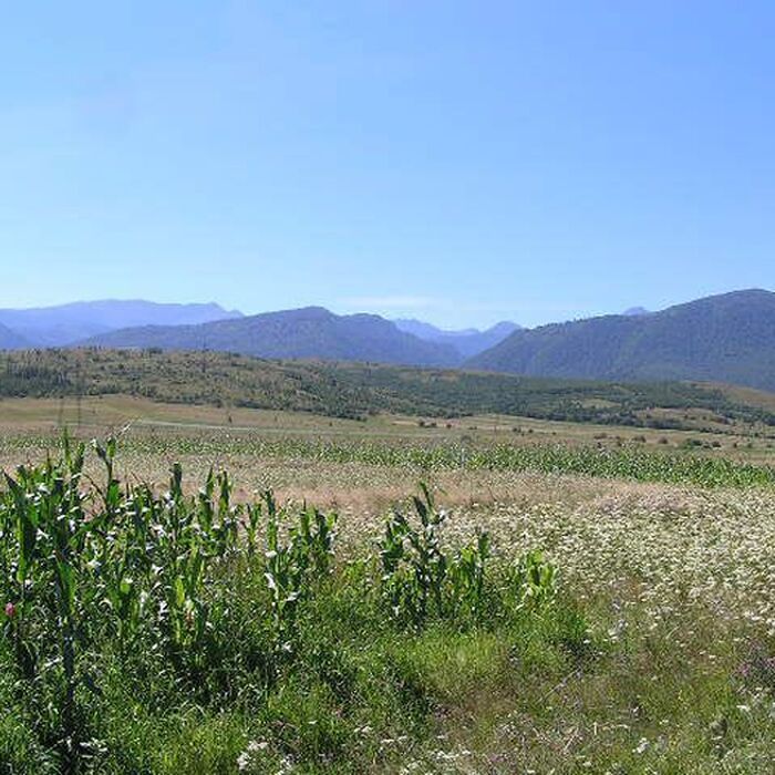Retezat Mountains