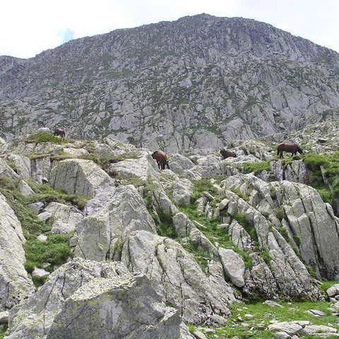 Retezat Mountains
