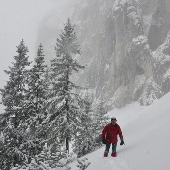 Tailor made tours - Piatra Craiului National Park, Cerdacul Stanciului